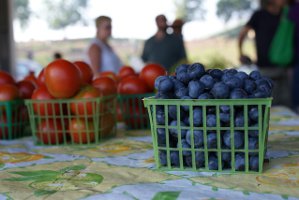 farmer's market image